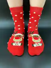 Коралловый новогодние носки мужские, женские "Дерзкий Санта", носки в подарок