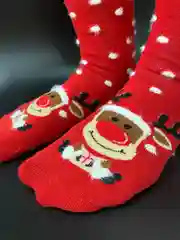 Коралловый новогодние носки мужские, женские "Дерзкий Санта", носки в подарок