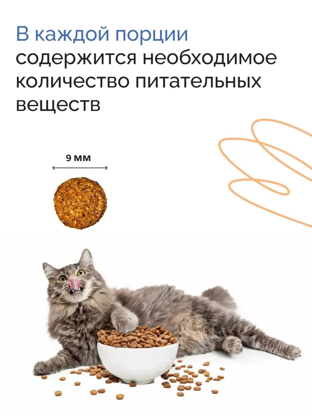 Mysticat - корм для кошек сухой 2 кг (с рыбой и рисом)