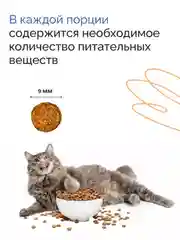 Mysticat - корм для кошек сухой 2 кг (с рыбой и рисом)