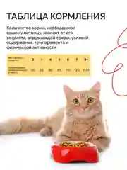 Mysticat - корм для кошек сухой 2 кг (с рыбой и рисом)