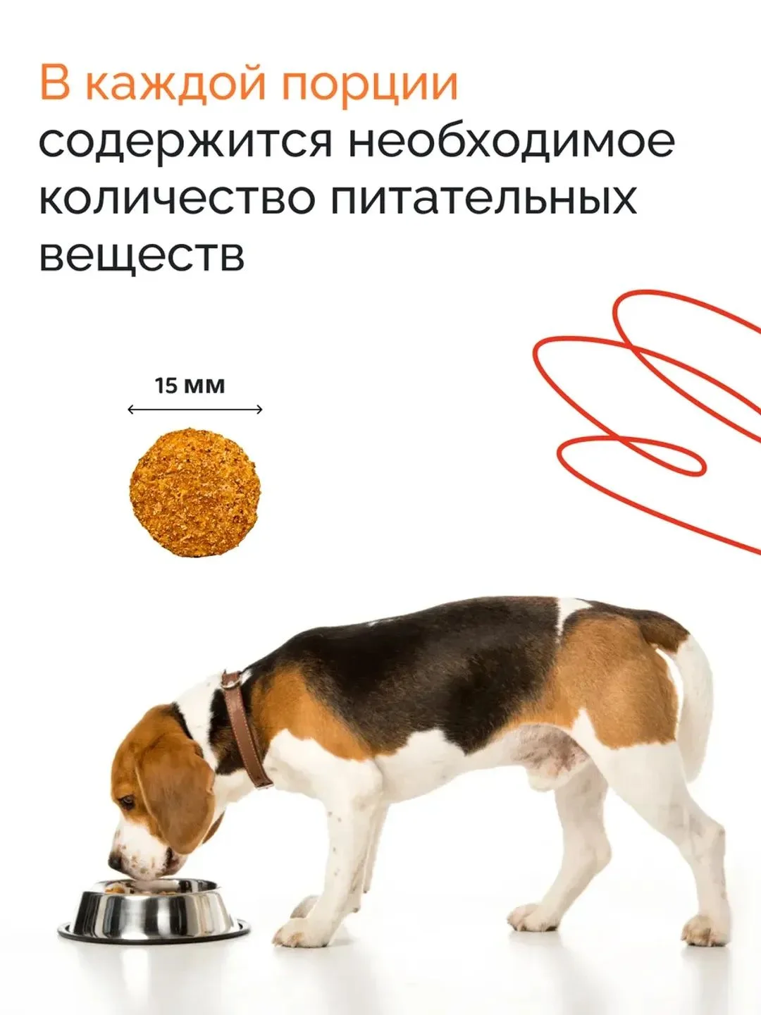 Dogsy - корм для собак, сухой, 3 кг, с курицей и рисом