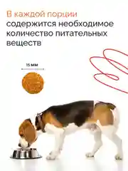 Dogsy - корм для собак, сухой, 3 кг, с курицей и рисом