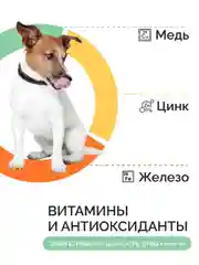 Dogsy - корм для собак, сухой, 3 кг, с курицей и рисом