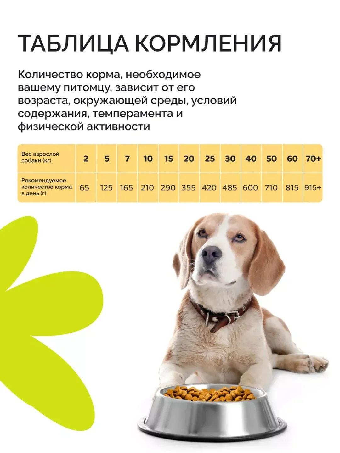 Dogsy - Корм для собак сухой 18 кг (с курицей, рисом и морковью)