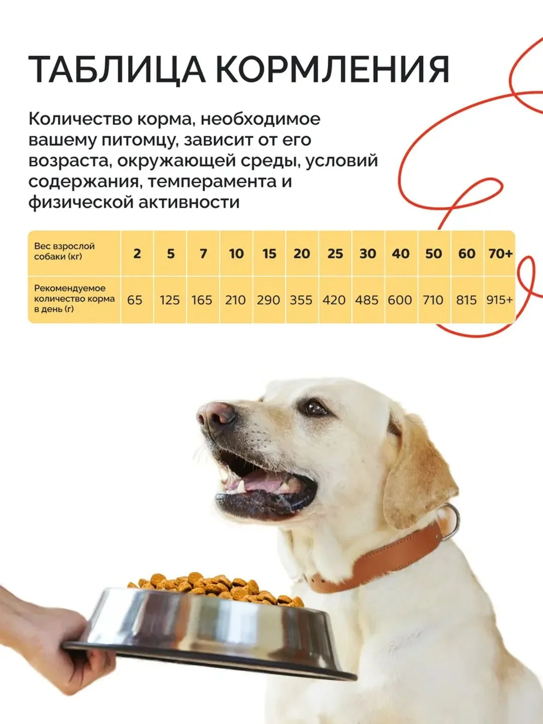Dogsy - корм для собак, сухой, 18 кг, с курицей и рисом