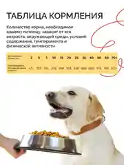 Dogsy - корм для собак, сухой, 18 кг, с курицей и рисом
