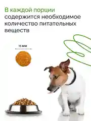 Dogsy - Корм для собак сухой 3 кг (с курицей, рисом и морковью)
