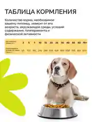 Dogsy - Корм для собак сухой 3 кг (с курицей, рисом и морковью)