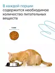 Mysticat - корм для кошек, сухой, 2 кг, с курицей и рисом