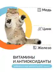 Mysticat - корм для кошек, сухой, 2 кг, с курицей и рисом