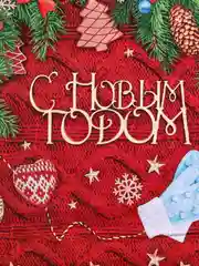 Красный пакет подарочный новогодний пакетик