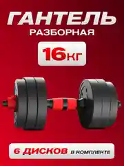 Гантель разборная ATHLETIC, 16,5 кг, 1 штука
