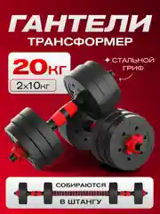 Гантели трансформер разборные 20 кг, 2 шт по 10 кг
