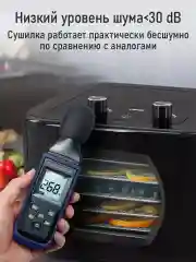 Черный электросушилка с горизонтальным обдувом STINGRAY ST-FD706A 5 поддонов черный