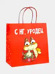 Багровый пакет подарочный новогодний юмор, 22 х 22 х 11 см, Новый год