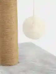 Когтеточка для кошки