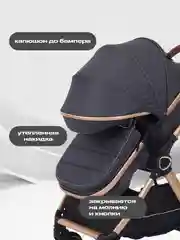 Серый коляска детская с перекидной ручкой RANT ROLLER GOLD 2в1 2024