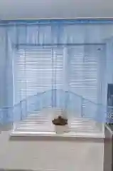 Голубой тюль - АРКА НА КУХНЮ/ ТЮЛЬ - ЗАНАВЕСКА