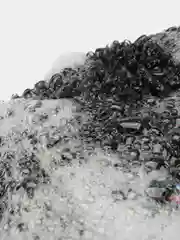 Угольный мочалка для душа массажная банная
