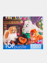 Пазлы 1000 элементов, разные сюжеты