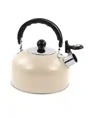 Чайник со свистком HOME ELEMENT HE-WK1602, 2л, нерж. сталь , бежевый матовый