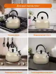 Чайник со свистком HOME ELEMENT HE-WK1602, 2л, нерж. сталь , бежевый матовый
