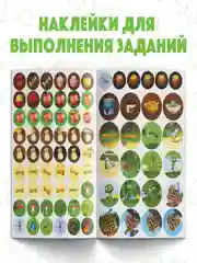 Коралловый наклейки-кружочки "Маша и медведь"
