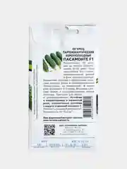 Семена Партнер Огурец "Пасамонте" F1 Среднеспелый Партенокарпический Вкусный (5шт)