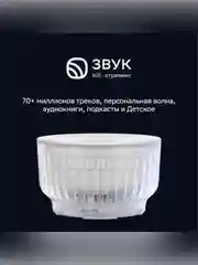 Умная колонка Sberboom Mini 2 с голосовым ассистентом Салют и Gigachat, серый
