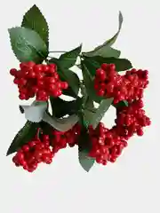 Оранжевый искусственные цветы, ягоды и фрукты на ветке