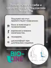 Серый металлик подушка на стул Bio-Line со спинкой,на завязках и резинке 85 х 42 х 5 см
