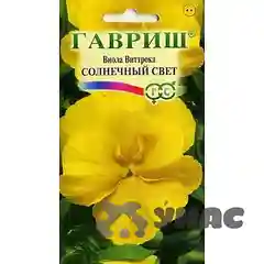 Виола Виттрока Солнечный свет Гавриш