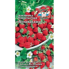 Семена земляника Лесная Сказка Седек