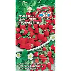 Семена земляника Лесная Сказка Седек