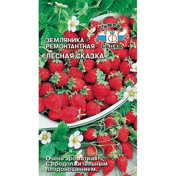Семена земляника Лесная Сказка Седек