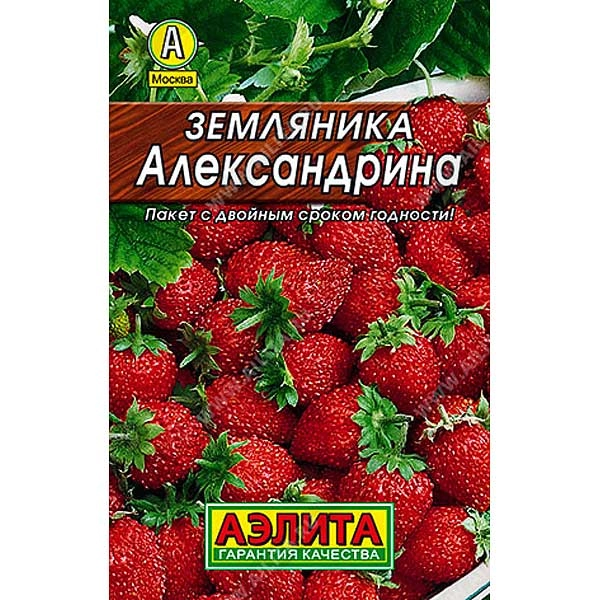 Семена земляника Александрина Аэлита