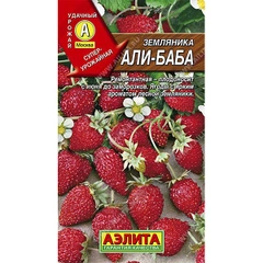 Семена земляника Али-Баба Аэлита