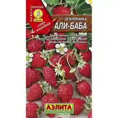 Семена земляника Али-Баба Аэлита