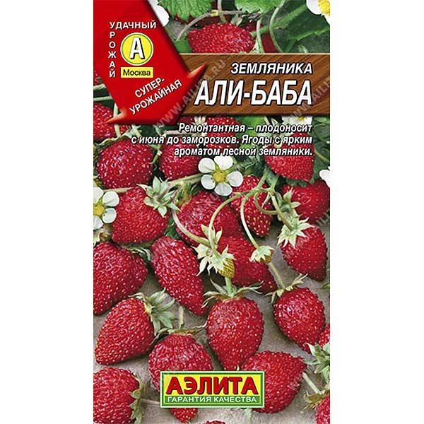 Семена земляника Али-Баба Аэлита