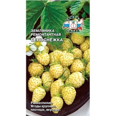 Семена земляника Белоснежка Седек
