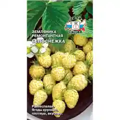 Семена земляника Белоснежка Седек