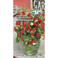 Семена земляника Мармеладная Седек