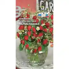 Семена земляника Мармеладная Седек