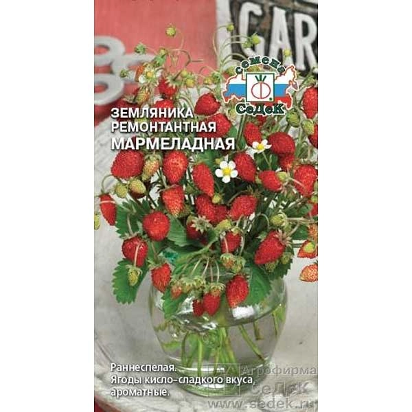 Семена земляника Мармеладная Седек