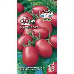 Семена томат Сахарная Слива Малиновая Седек