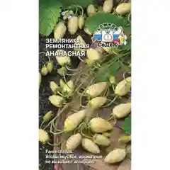 Семена земляника Ананасная Седек