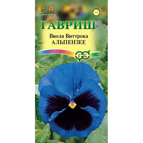 Виола Виттрока Альпензее Гавриш