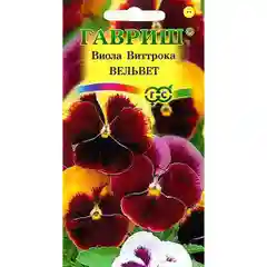 Виола Виттрока Вельвет смесь Гавриш