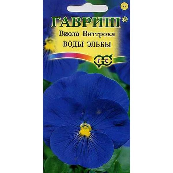 Виола Виттрока Воды Эльбы Гавриш